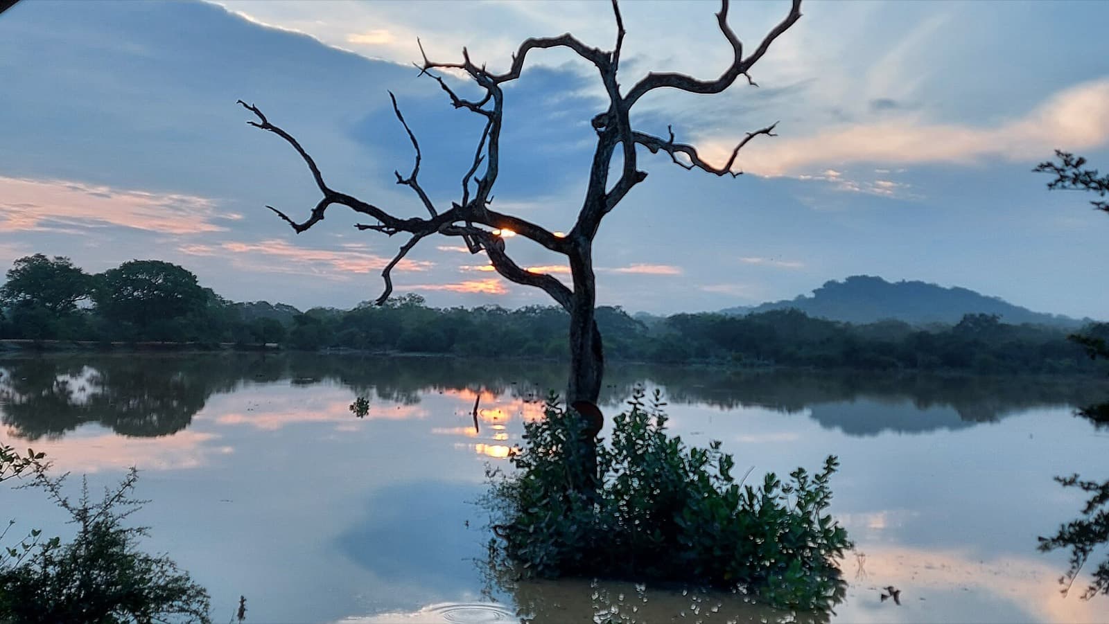 Yala Safari Day Tour