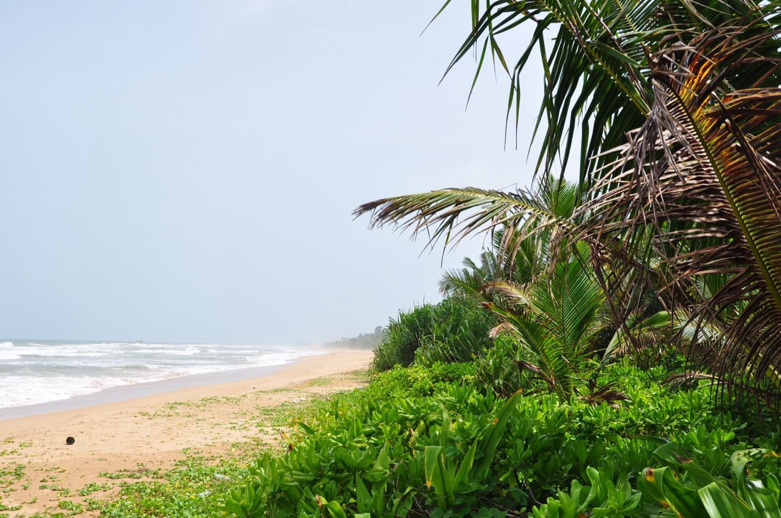 Bentota